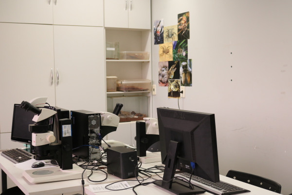 2 Desktops de rotina, marca HP.JPG